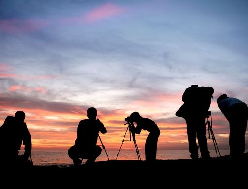 Tentang PFB