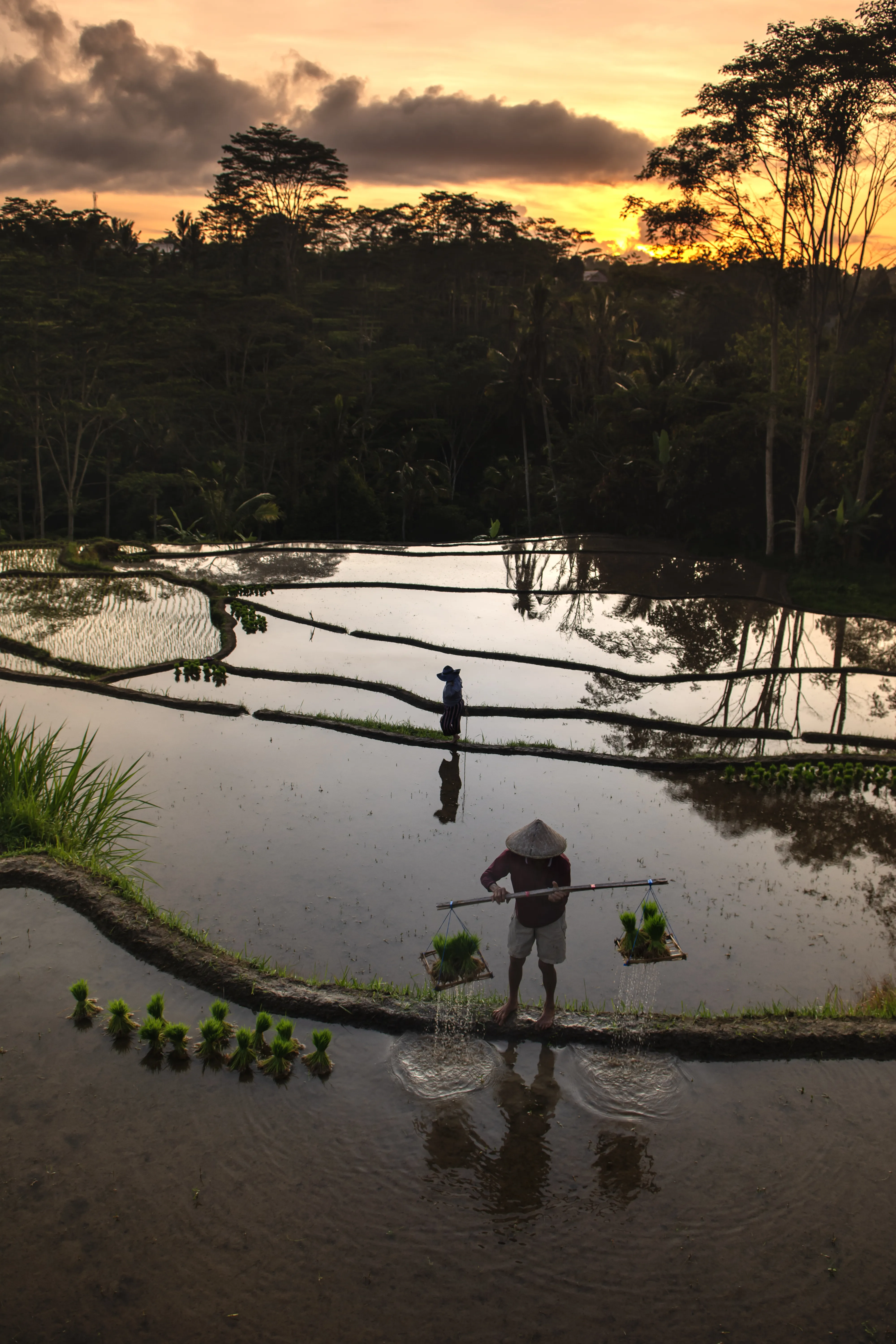 Perhimpunan Fotografer Bali